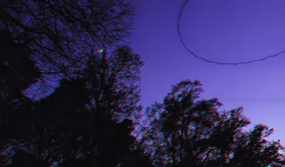 A purple sky that looks blue in anaglyph. Three quarters of the image is trees, one quarter, upper right, is blue sky. A dark blue. A bat circled that corner of the image. This image is based on video, and I stacked about 120 frames video to show this as a trail.