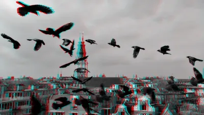 Three jackdaws, a small crow, pass by closely. One from top to bottom, one from right to left, one from left to right at the bottom. We overlook the old Amsterdam city centre.