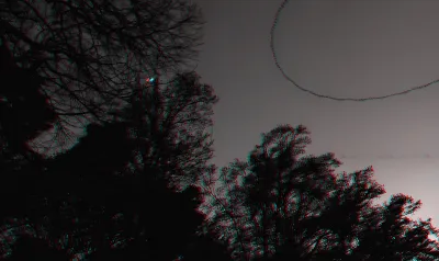 Three quarters of the image is trees, one quarter, upper right, is dark blue sky. A bat circled that corner of the image. This image is based on video, and I stacked about 120 frames video to show this as a trail.