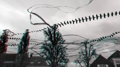 A few trees that move in the wind, and the roofs of old houses. We look up to them. In the background: Trails of tens of jackdaws, flying from right to left in unison. Closer to the front are some more straight trails. Meanwhile, a pair of them land in a frivolous curly fashion into the tree in the middle. Jackdaws form cuter pairs than any other bird, if you ask me.