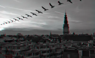 We overlook the old Amsterdam city centre. A seagull passes from top right to middle left, into the sunset that happens on the left side of the image.