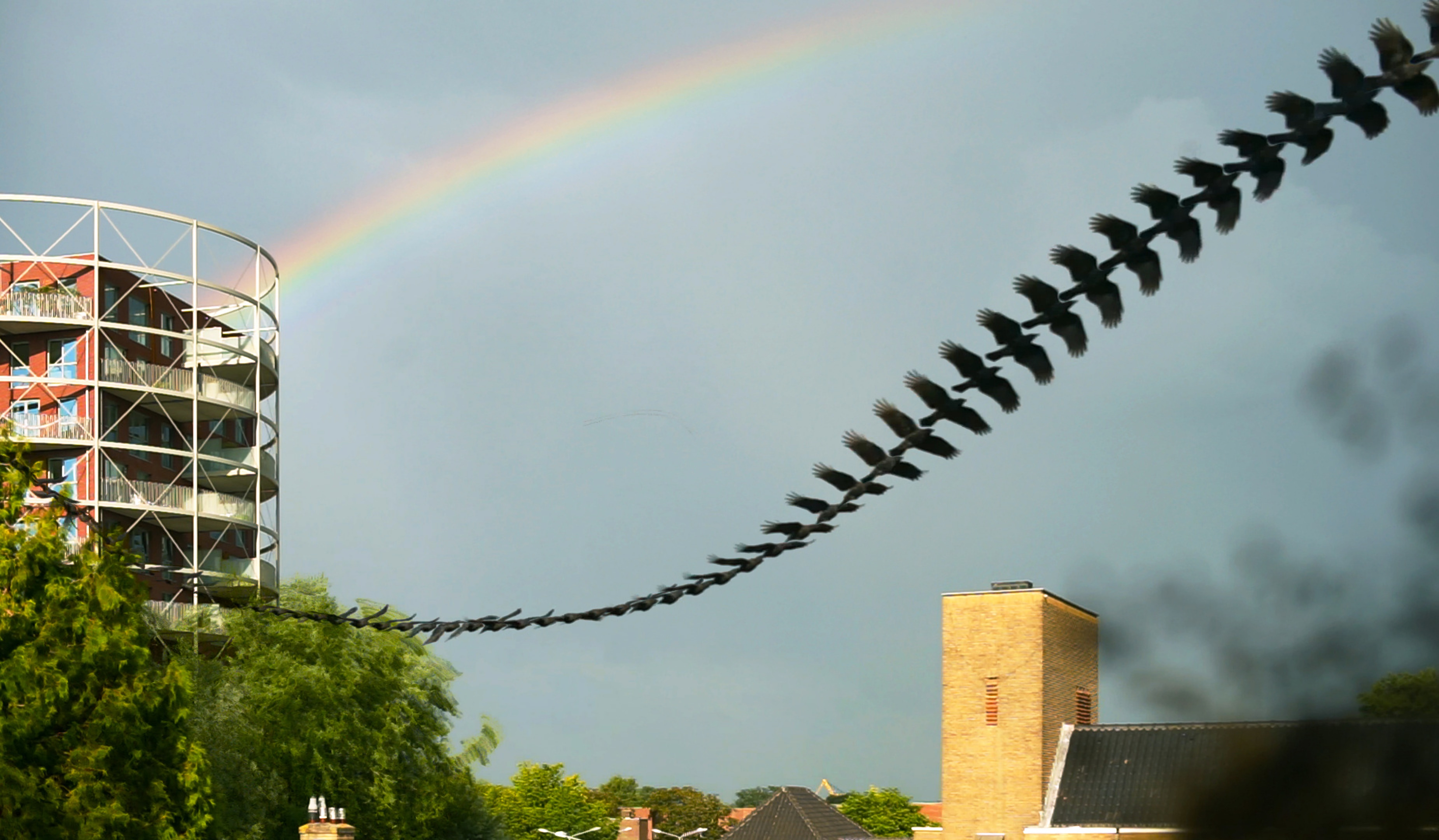 To the left, an apartment buiding. The bottom of the frame is the roof of a school. At the top of the frame runs a rainbow. I heard a crow approaching, and started the video. The curve that the crow flies, compliments the rainbow.