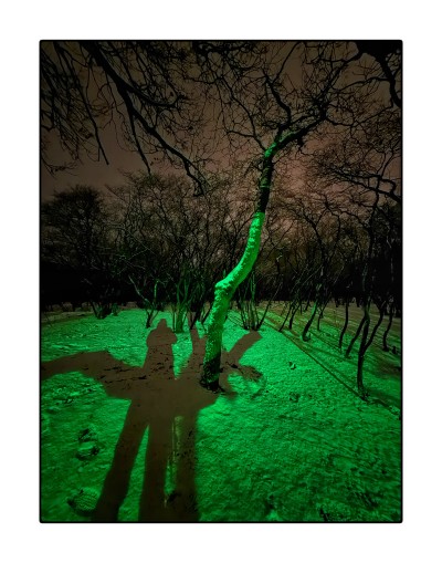 After it stopped snowing, the rose tone in the sky disappeared. The shorter wavelengths weren’t scattered as much anymore. So the sky turned grey, with a yellow tone from some of the sox streetlights. 