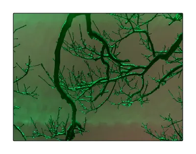 A detail of the tree branches. The sky behind it is a mixture of green and rose washes, a textured blur, a bit like northern lights. Branches enter the frame from the top and top right. The smaller parts hold bits of half molten snow, that glisten in the bright green light. The bottom of the background has pattern to it. This was caused by the top of the fence. I could not figure out why this became a part of the image, because it was outside the frame.