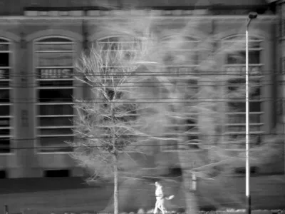 Shot from a moving train. Late 19th century building, with trees and a lamppost in front. Somehow, one tree has more motion blur than the other. A brightly lit walking person is just cut by the frame. Included here, because the image is odd.