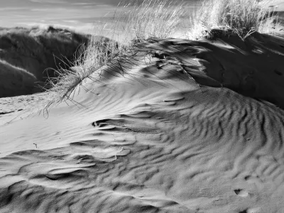 A close up of a dune. Most of the image is of the ripples the wind made in the sand. At the top is stiff, high grass. There is darkness in the sky, eventhough the shades suggest hard sunlight.